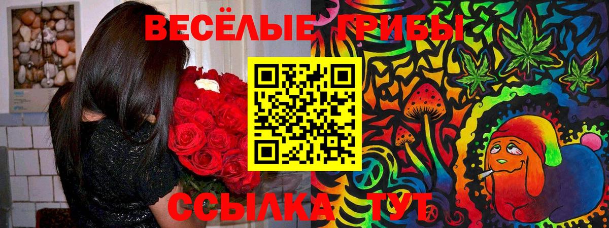 Псилоцибиновые грибы прущие грибы  Вход с VPN  Галлюциногенные грибы Psilocybine cubensis  Горно-Алтайск 