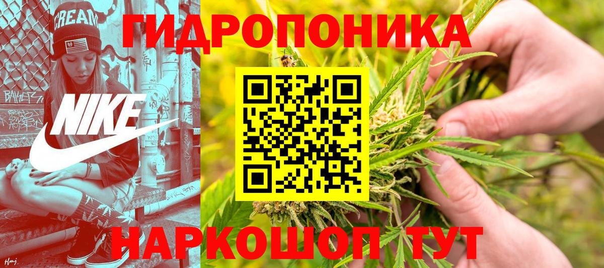 Марихуана гибрид  Марихуана план  Вход с VPN  Горно-Алтайск 